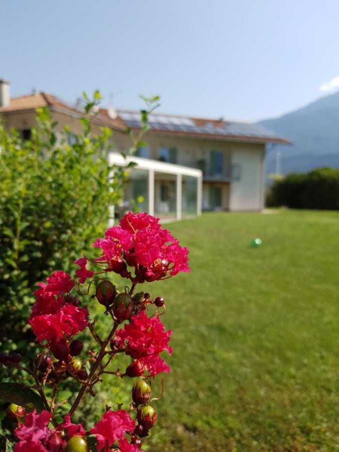 De L'arguta * Trento